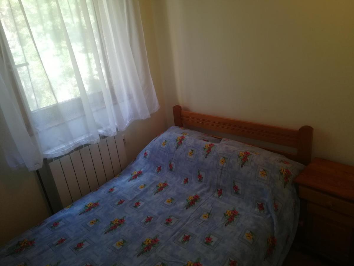 Apartment Zoran