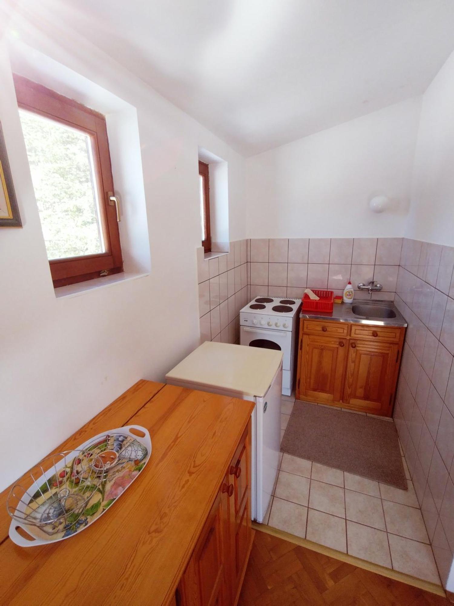 Apartment Zoran *